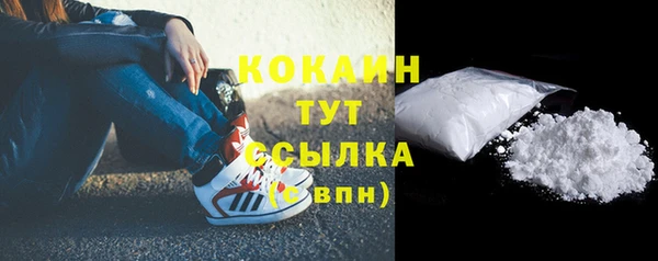 дурь Пересвет