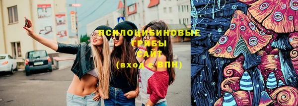 дурь Пересвет