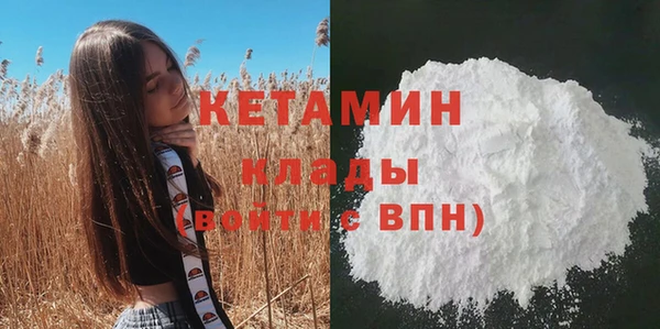 дмт Дубна