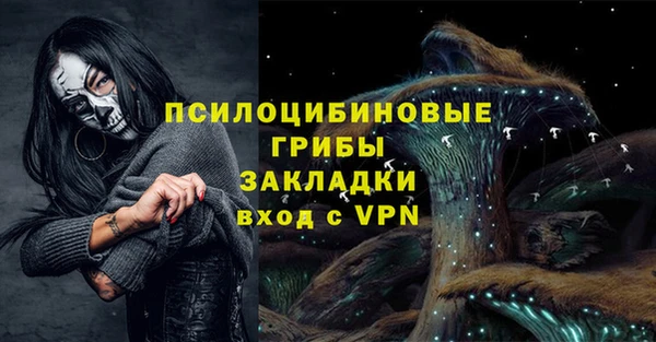 спиды Пестово