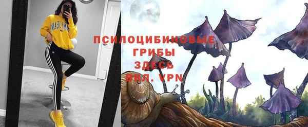 спиды Пестово